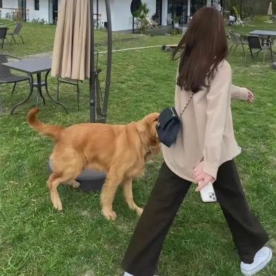 犯罪心理第十三季