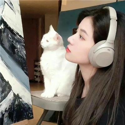 选举风暴